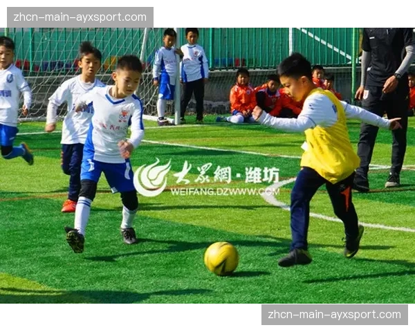 英超俱乐部联合发起“社区球场焕新”公益项目