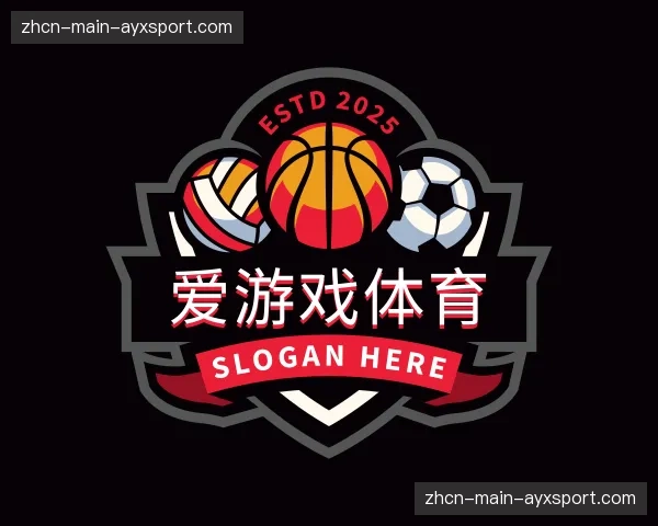 介绍爱游戏体育